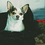 Profile Picture of Rick Andrews (@arickandrews) on Flickr