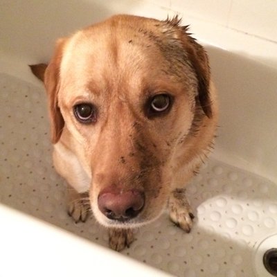 Profile Picture of Greg Munson (@tgmuns) on Twitter