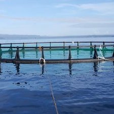 Profile Picture of McKoy (@IamMark_CPAsoon) on Twitter