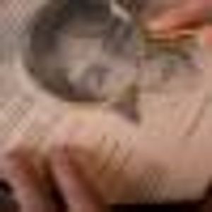 Profile Picture of Muhammad Chaudhary (@114966090) on Myspace