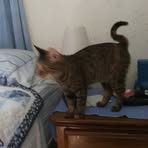 Profile Picture of Pamela Resler (@Pamela-Resler) on Facebook