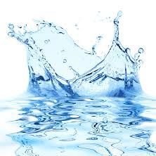 Profile Picture of Alex Kurt (@alexkurt810) on Twitter