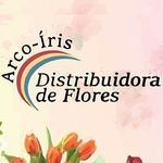 Profile Picture of Arco Iris Flores Distribuidora (@arcoirisfloresfortaleza) on Instagram