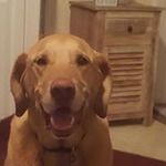 Profile Picture of Scott Gallaher (@scott.gallaher2) on Instagram