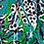 Profile Picture of Jeremy Turner (@chorltonjel) on Flickr