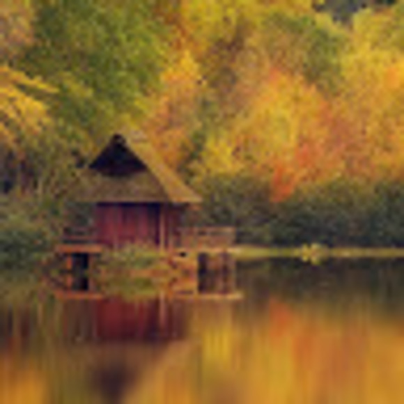 Profile Picture of Donald Pavitt (@donaldpavitt73) on Poshmark