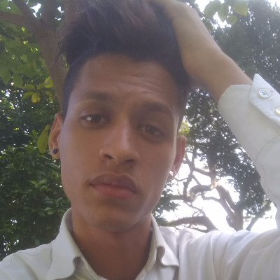 Profile Picture of Alexander Vass (@Alexand26946794) on Twitter