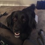 Profile Picture of Iva Marie Reisdorph (@ivamariereisdorph) on Instagram