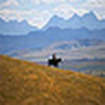 Profile Picture of Wyatt C. Heston (@wildwesternskyshorses) on Flickr