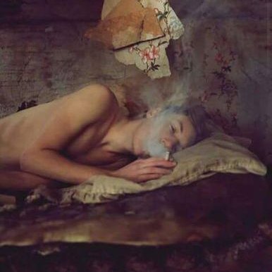 Profile Picture of Amir Nasser (@amirnasser19) on Twitter