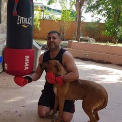 Profile Picture of Michael Revah (@michaelrevah) on Tiktok