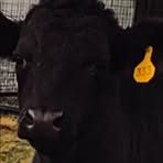 Profile Picture of McKinley King Julius (@mckinley.king.julius) on Facebook