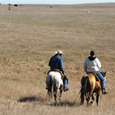 Profile Picture of Jacob Mayer (@BigJakeEatSteak) on Twitter