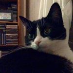 Profile Picture of Evy Jenkins (@hessieruth) on Instagram