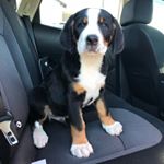 Profile Picture of Michael Crawford (@rainier_the_greater) on Instagram