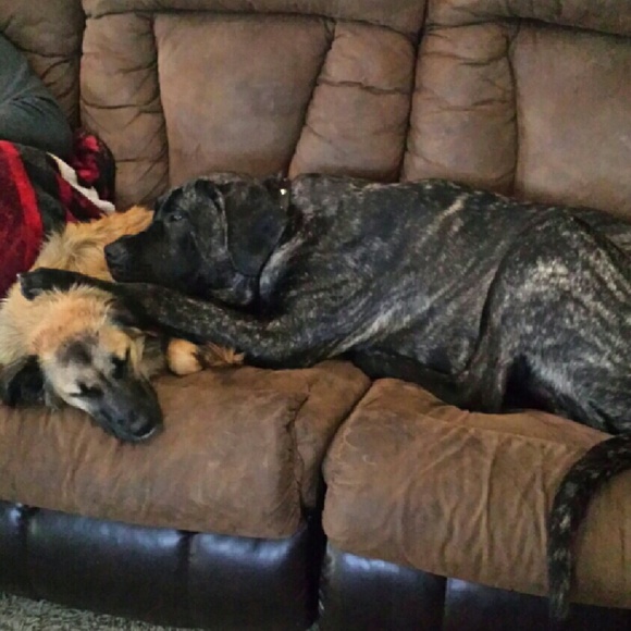 Profile Picture of Brianne Wagner (@breewag) on Poshmark