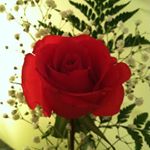 Profile Picture of Janet Angus (@jlangus02) on Instagram