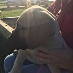 Profile Picture of Sean Byrnes (@sean_byrnes_76) on Instagram