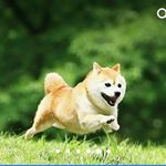 Profile Picture of Manas Chatterjee (@manas.chatterjee.7543) on Instagram