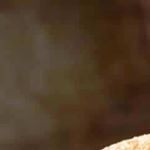 STAY WYNNING!!!!😜🎰 - Instagram Profile Picture of STAY WYNNING!!!!😜🎰 (@peter_wynn101) on Instagram