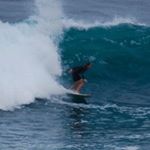 Profile Picture of David Mokan (@mokansurf) on Instagram