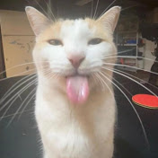 Profile Picture of Robert MacDonald (@robertmacdonald5596) on Youtube