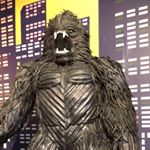 Profile Picture of Brendan Scherer (@bscherer54) on Instagram