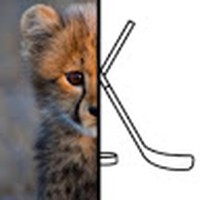 Profile Picture of Joshua Hitchings (@joshua-hitchings) on Quora