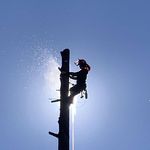 Profile Picture of Christopher leo Buckley (@action_treeservice) on Instagram