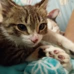 Profile Picture of Alex Serrato (@Alex-Serrato) on Facebook