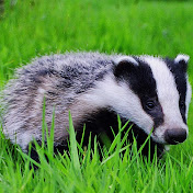 Profile Picture of Rose Dowling (@rosedowling1659) on Youtube