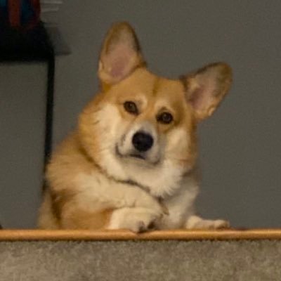 Profile Picture of Joshua James Yanchar (@JoshyJoshJames) on Twitter