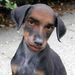 Profile Picture of Marc Boot (@bigmarc92) on Pinterest