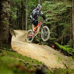 Profile Picture of Stephen Trexler (@trexbikes88) on Instagram