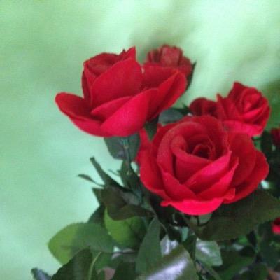 Profile Picture of Ehsanul Huq (@HuqEhsanul) on Twitter