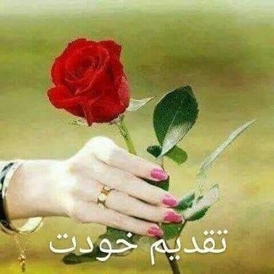 Profile Picture of Mohsen Nouri (@moshavern) on Twitter