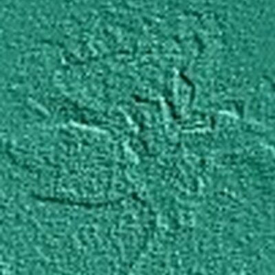 Jacquelyn Spencer - Twitter Profile Picture of Jacquelyn Spencer (@JacquelynS71) on Twitter