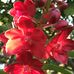 Profile Picture of Nancy Denson (@nancy.denson.948) on Facebook
