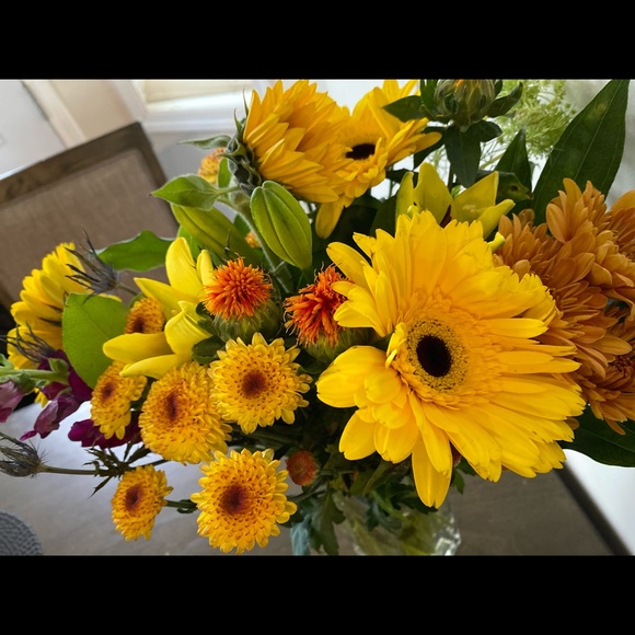 Profile Picture of Briana Sidoruk (@brianasid) on Poshmark