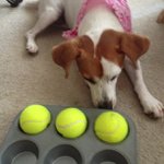 Profile Picture of Ervin Wilson (@aspdigestdrummer) on Instagram