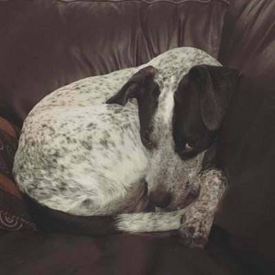 Profile Picture of Nicholas Chapman (@Nichola27919418) on Twitter