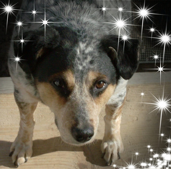 Profile Picture of Kevin Minton (@kevinminton42) on Poshmark