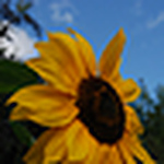 Profile Picture of Mikeheath73 (@mikeheath73) on Flickr