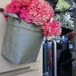 Profile Picture of Ronel (@ronelclearp) on Instagram