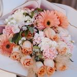 Profile Picture of Splendid Soirée Rentals (@splendidsoireerentals) on Instagram