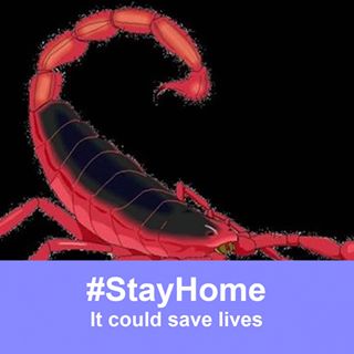 Profile Picture of Harold Savoy (@harold.savoy.733) on Facebook