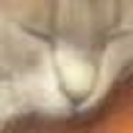 Profile Picture of Amanda Watson-will (@potsrme1962) on Flickr