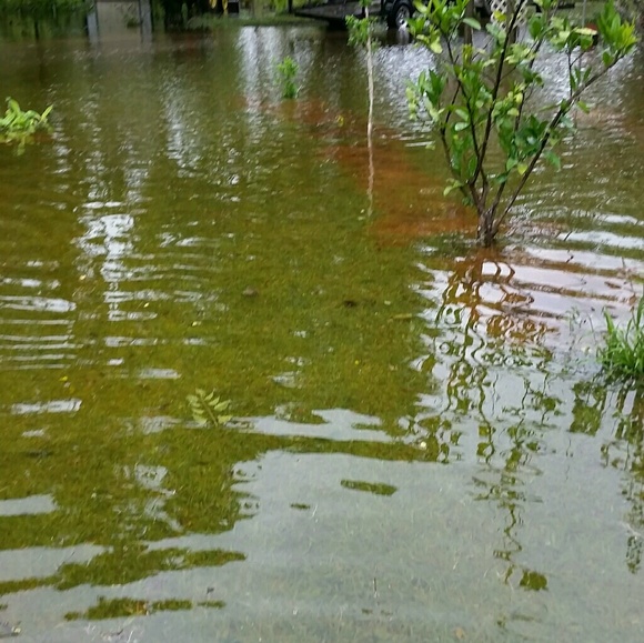 Profile Picture of Paula Parrinello (@paulaparr) on Poshmark