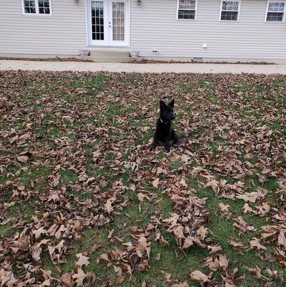 Profile Picture of Danny Mcalister (@dannymcalister8) on Poshmark