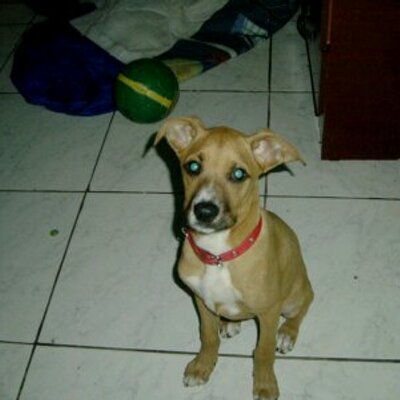 Profile Picture of Christopher Ledezma (@Christo99782044) on Twitter
